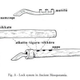 Illustration for article titled In 1851, A Man Picked Two Unpickable Locks and Changed Security Forever